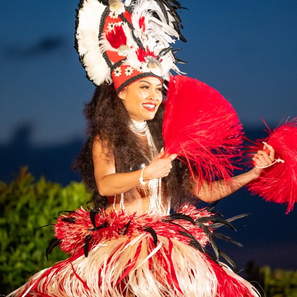 a person wearing a costume